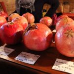 concorso-grandezza-melograne