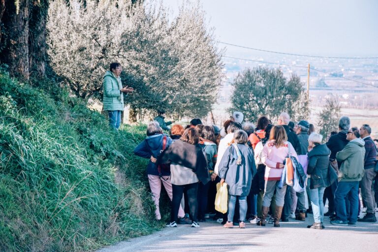 Luciana-Mazzotti-racconta-le-erbe-spontanee-nella-campagna-faentina