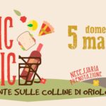 Picnic-itinerante-banner