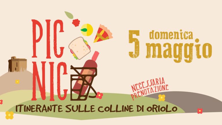 Picnic-itinerante-banner