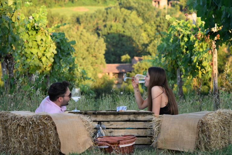 Pic-nic-in-vigna-2024