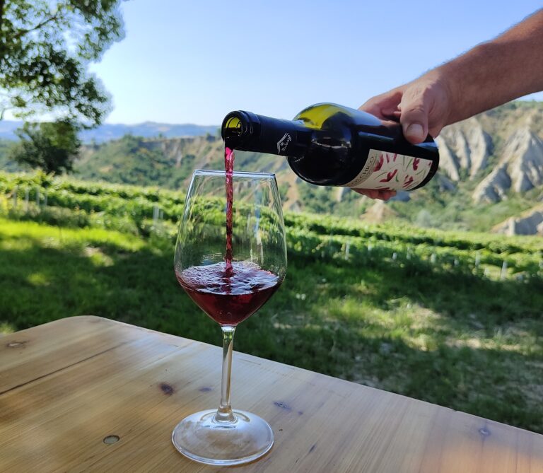 Sangiovese-colline-Brisighella
