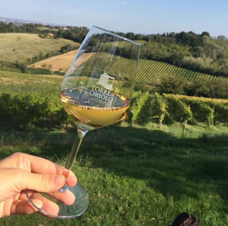 Calice-di-vino-fronte-vigna-a-Oriolo