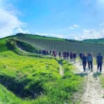 Wine-Trekking-La-Sabiona-19-ottobre-2024