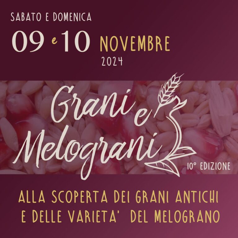 Grani-e-melograni-2024