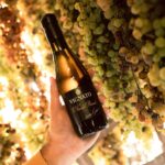 El-Vin-del-Ricordo-davanti-ai-picai-di-Garganega-Copia