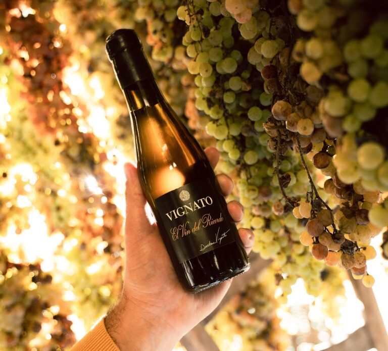 El-Vin-del-Ricordo-davanti-ai-picai-di-Garganega-Copia