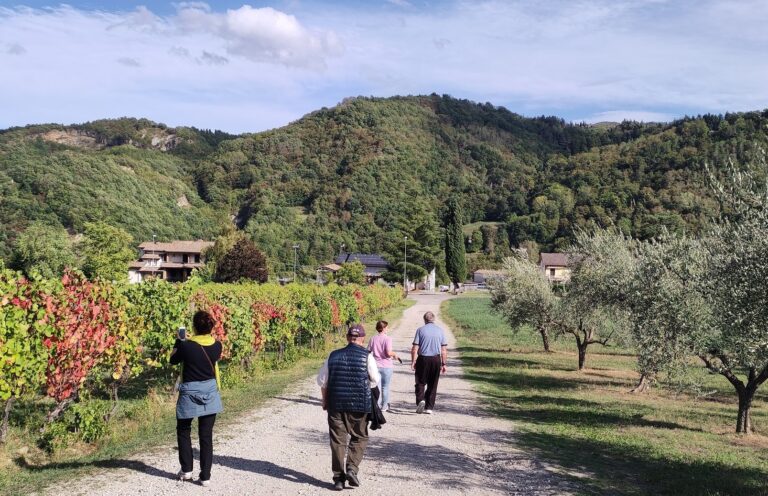 un-tratto-del-circuito-enoturistico-di-Mercato-Saraceno-Copia