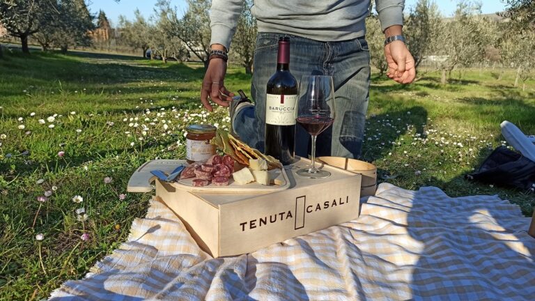 Merenda-in-vigna-Tenuta-Casali