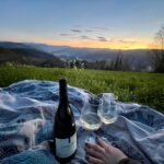 Vigneti-stellari-Tenuta-Casali