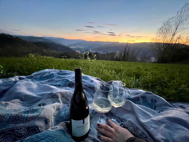 Vigneti-stellari-Tenuta-Casali