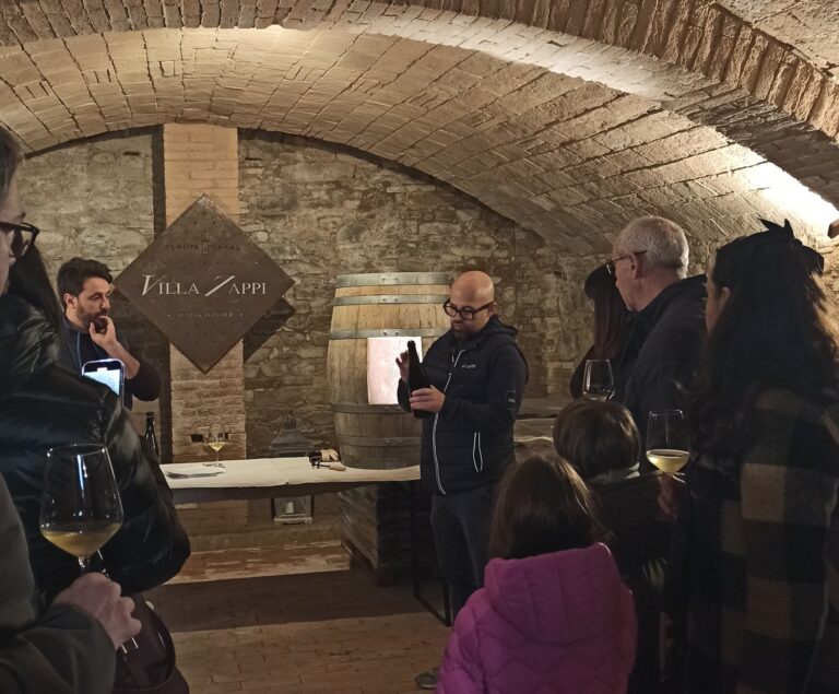 Visita cantina di affinamento Tenuta Casali