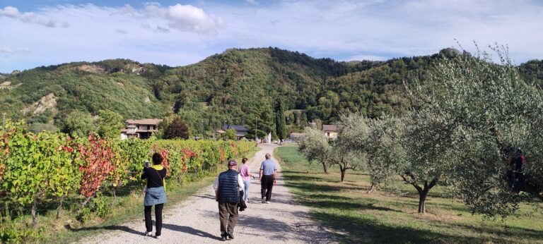 Enoturismo a Tenuta Casali