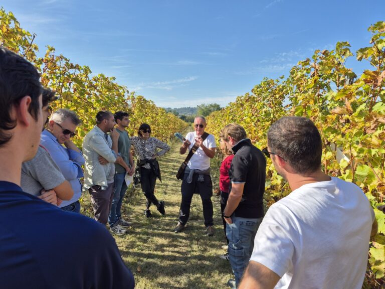 visita guidata 9.10.2025 Compost e biochar in vigneto, la prova sperimentale a lungo termine nel vigneto di Tebano