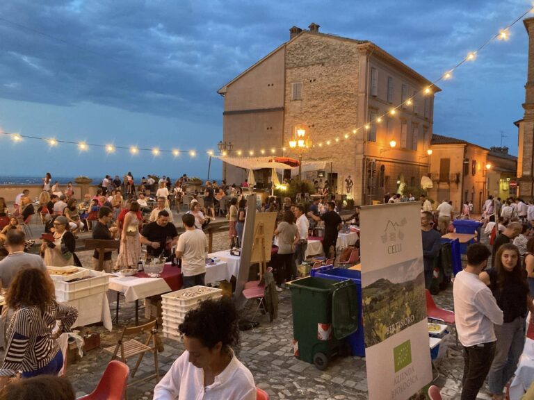 Banchi di degustazione 4