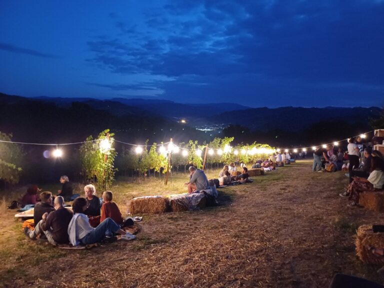 Degustazione in vigna a Tenuta Casali
