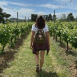 A spasso in mezzo le vigne
